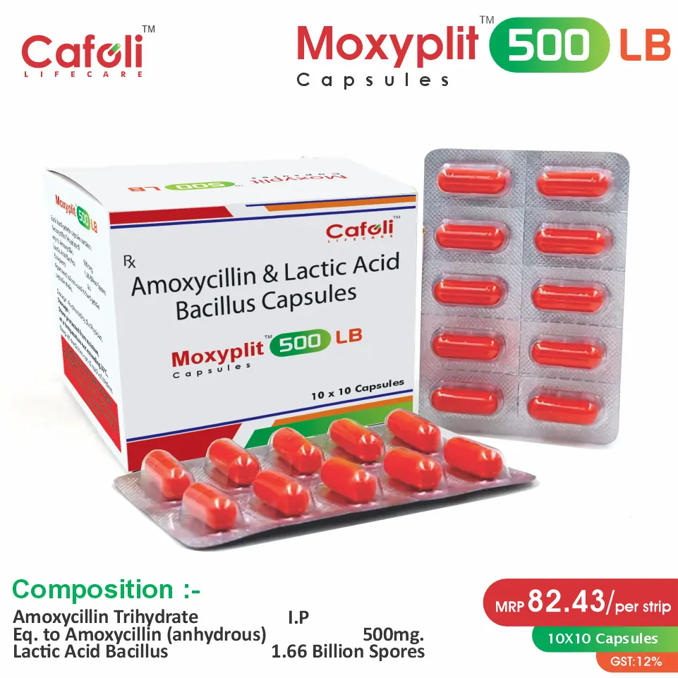 Amoxycillin + Lactic Acid Bacillus Capsule at the best price in PCD Pharma Franchise for Helicobacter pylori eradication.